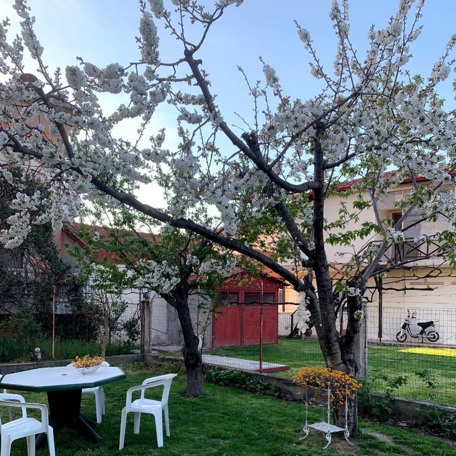 Villa Elena 5***** Kallithea  Luaran gambar